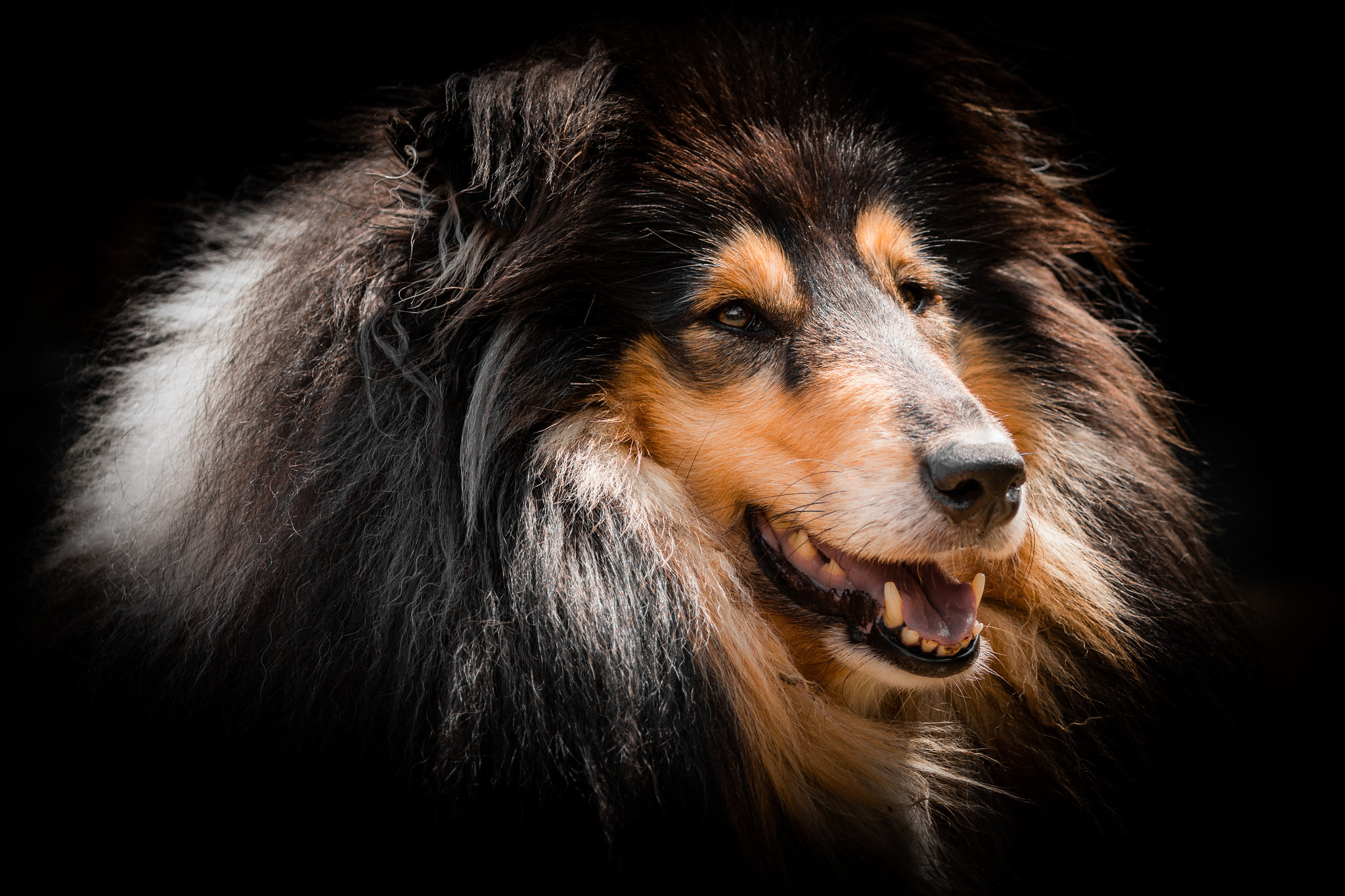 May 2024 – We are launching our webpage